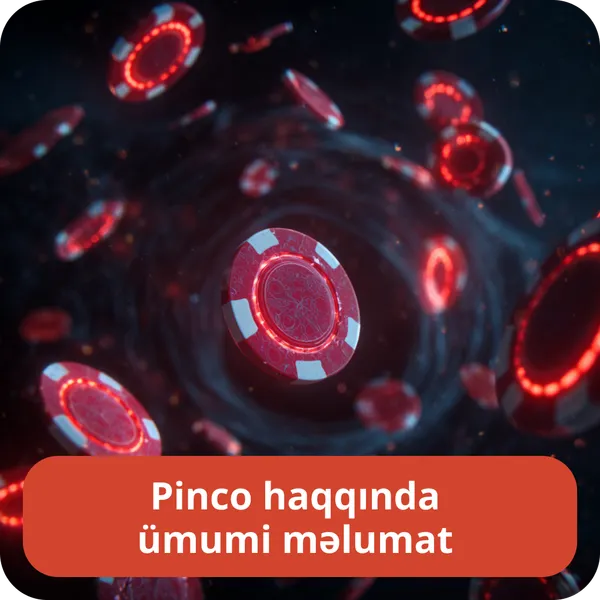 Pinco haqqında ümumi məlumat